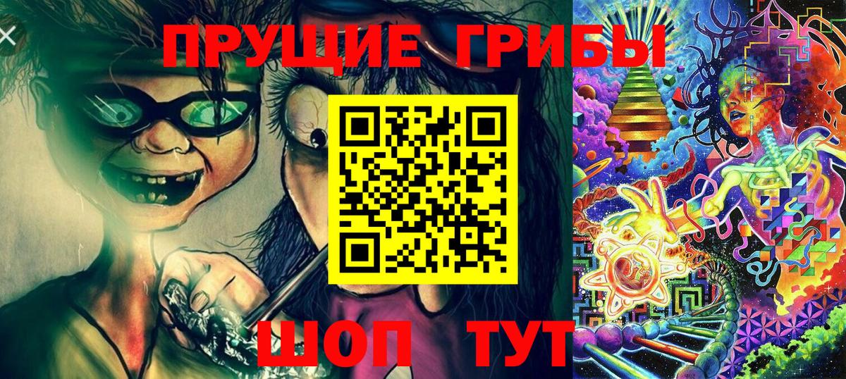 Галлюциногенные грибы Psilocybine cubensis Серов