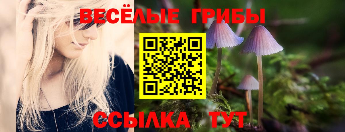 Галлюциногенные грибы ЛСД  магазин продажи   Серов  Псилоцибиновые грибы Psilocybe  Вход с VPN 